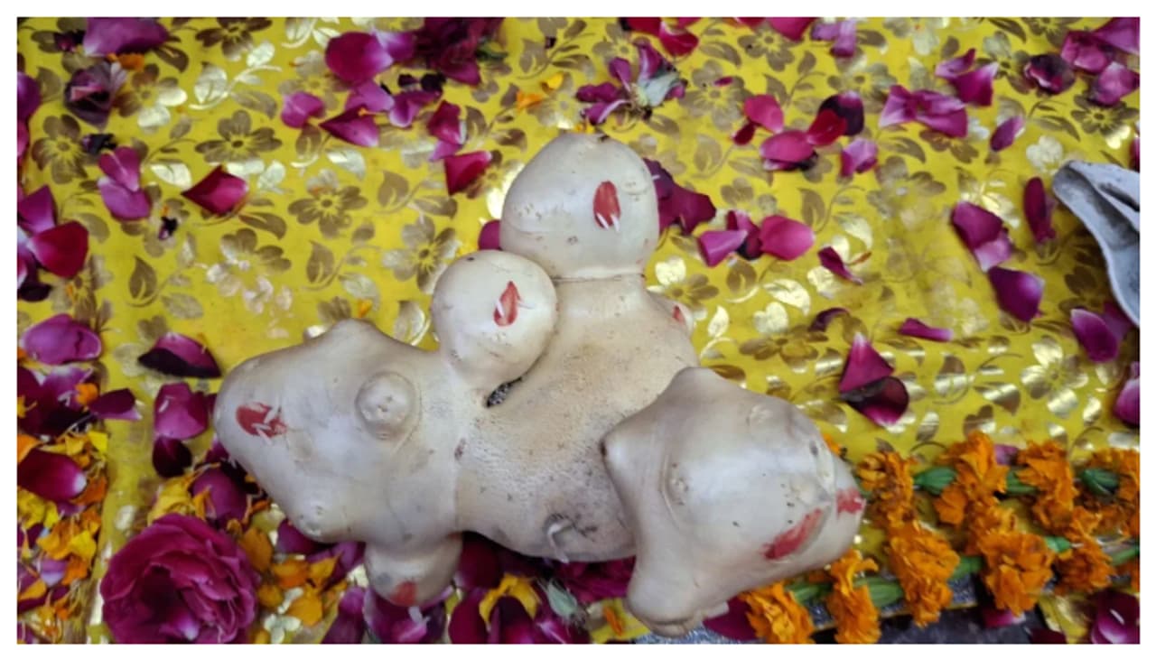 ഉരുളക്കിഴങ്ങിന് വിഷ്ണുവിന്റെ അവതാരങ്ങളുടെ രൂപം, ക്ഷേത്രത്തിൽ സ്ഥാപിച്ചു, ദർശനത്തിന് ഭക്തരുടെ ഒഴുക്ക് 