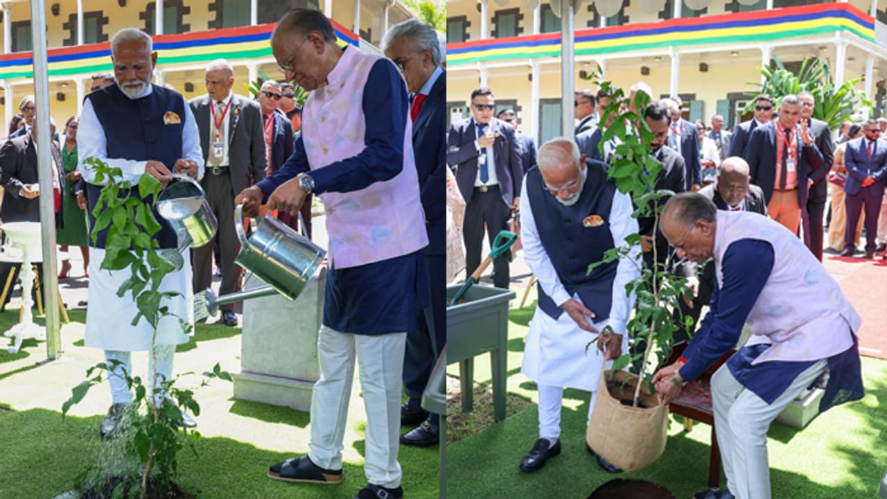PM Modi: మారిషస్లో మొక్క నాటిన మోదీ.. విదేశాలకు విస్తరిస్తున్న 'అమ్మ పేరుతో ఒక మొక్క' కార్యక్రమం. PM Modi: మారిషస్లో మొక్క నాటిన మోదీ.. విదేశాలకు విస్తరిస్తున్న 'అమ్మ పేరుతో ఒక మొక్క' కార్యక్రమం.