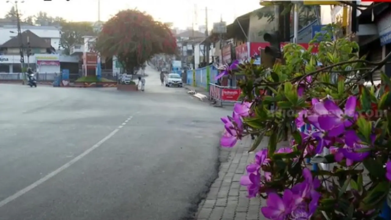 കടലാസ് വീണാല് പോലും എടുത്തുമാറ്റുന്ന ജാഗ്രത; മാലിന്യം കൊണ്ട് വീര്പ്പുമുട്ടുന്ന നഗരങ്ങൾക്ക് ബത്തേരിയുടെ മാതൃക കടലാസ് വീണാല് പോലും എടുത്തുമാറ്റുന്ന ജാഗ്രത; മാലിന്യം കൊണ്ട് വീര്പ്പുമുട്ടുന്ന നഗരങ്ങൾക്ക് ബത്തേരിയുടെ മാതൃക