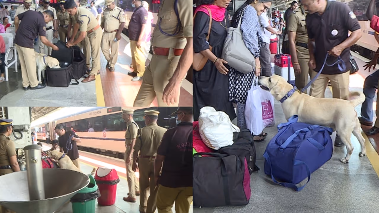 കേരളമാകെ തുടർന്ന് വേട്ട, പടർന്ന് പന്തലിച്ച കണ്ണികൾ ഓരോന്നായി മുറിച്ച് പൊലീസ്, ഇന്നലെ 'ഡി ഹണ്ടി'ൽ അറസ്റ്റ് 251