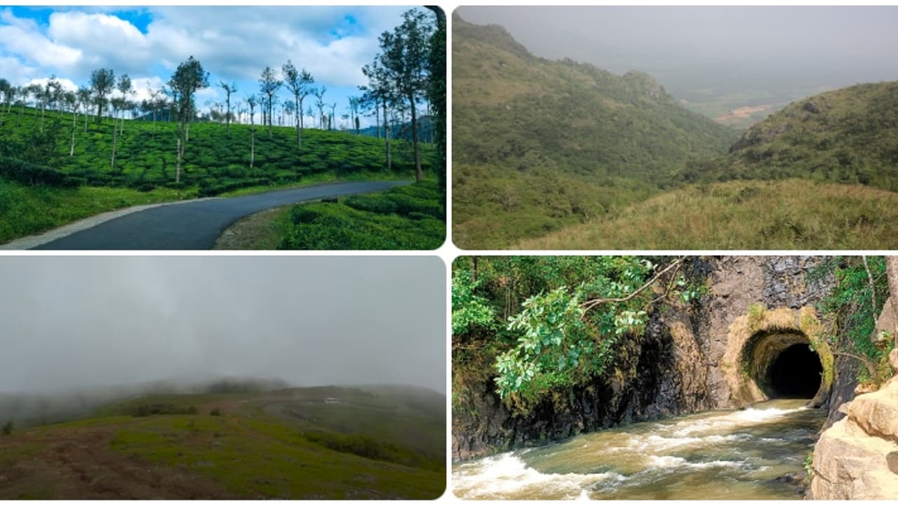 ഒരു 'ഫൈവ് ഇൻ വൺ' ട്രിപ്പായാലോ; ഒറ്റ യാത്രയിൽ കാണാം 5 കിടിലൻ സ്പോട്ടുകൾ! ഒരു 'ഫൈവ് ഇൻ വൺ' ട്രിപ്പായാലോ; ഒറ്റ യാത്രയിൽ കാണാം 5 കിടിലൻ സ്പോട്ടുകൾ!