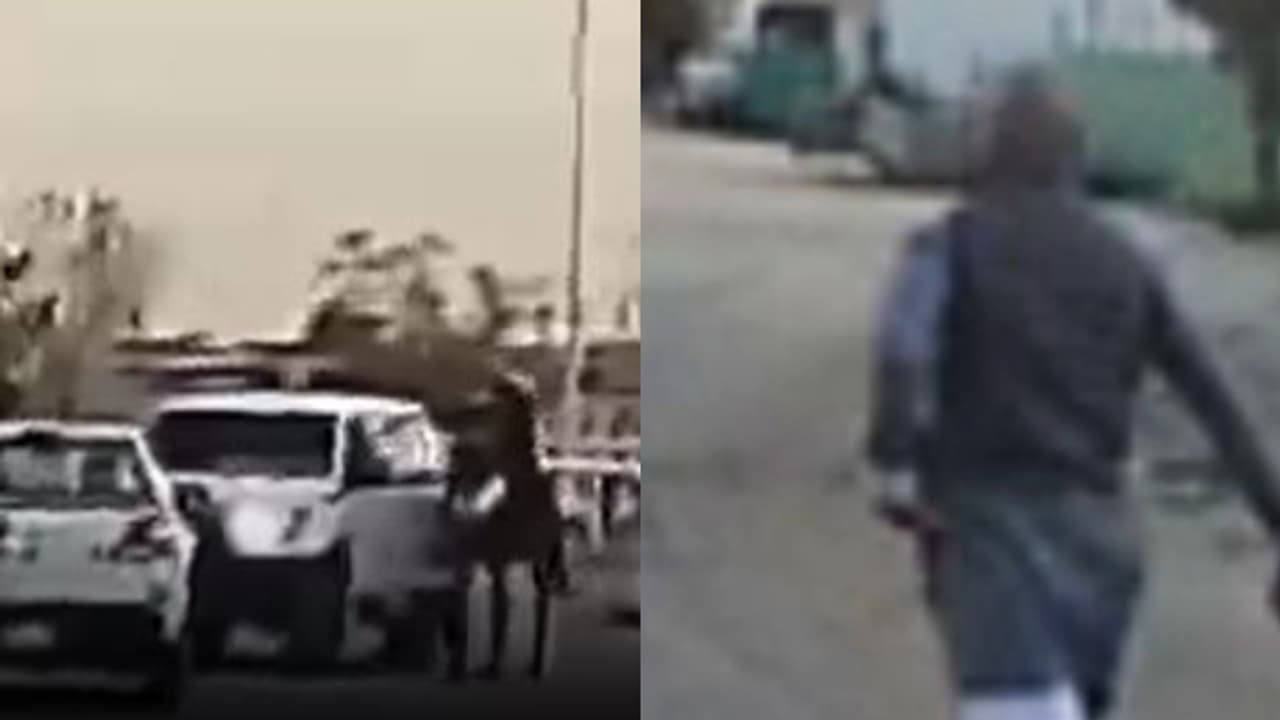 അജ്ഞാതന്‍റെ ആക്രമണം, ഉടമയെ രക്ഷിക്കാനായി കുത്തേറ്റുവാങ്ങി പന്തയക്കുതിര, പ്രതിക്കായി അന്വേഷണം 