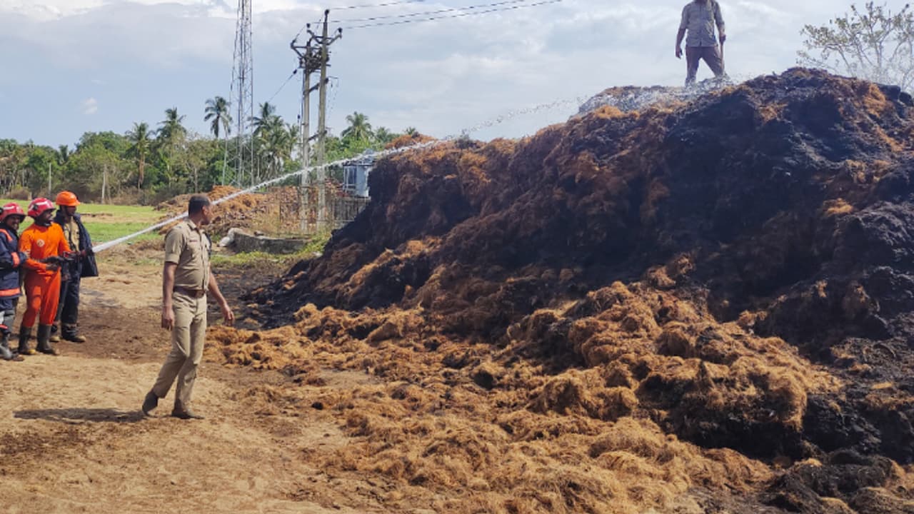 സംസ്കരണ ശാലയില് വന് തീപിടിത്തം, കത്തിനശിച്ചത് ക്ലീന് ചെയ്ത ചകിരി ഫൈബറുകള്, ലക്ഷങ്ങളുടെ നഷ്ടം സംസ്കരണ ശാലയില് വന് തീപിടിത്തം, കത്തിനശിച്ചത് ക്ലീന് ചെയ്ത ചകിരി ഫൈബറുകള്, ലക്ഷങ്ങളുടെ നഷ്ടം
