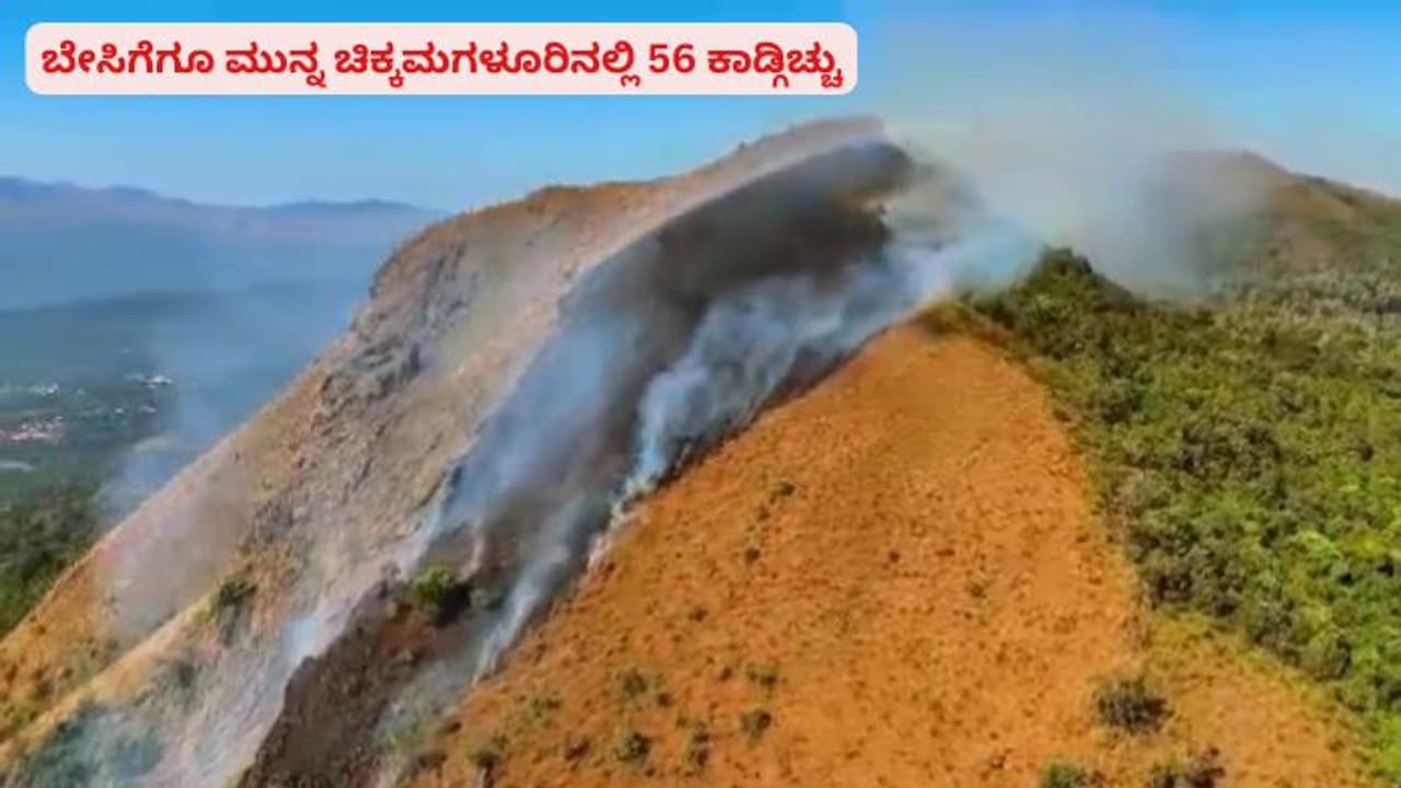 ಚಿಕ್ಕಮಗಳೂರು: ಬೇಸಿಗೆಗೂ ಮುನ್ನವೇ 56 ಕಾಡ್ಗಿಚ್ಚು, ನೂರಾರು ಎಕರೆ ಅರಣ್ಯ ನಾಶ!