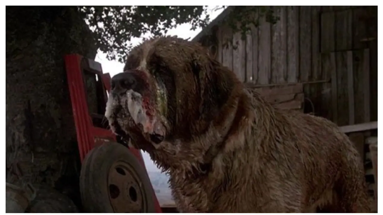 Stephen King's 'Cujo' set to return to big screen; read details