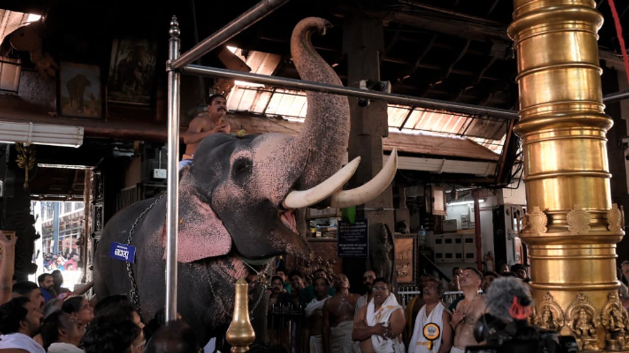 കാര്യം വിഐപി പരിഗണനയാണ്, പക്ഷേ ഉറക്കം വിട്ടൊരു കാര്യമില്ല, 'ബാലു' മടങ്ങി, പകരമെത്തുന്നത് രവികൃഷ്ണൻ കാര്യം വിഐപി പരിഗണനയാണ്, പക്ഷേ ഉറക്കം വിട്ടൊരു കാര്യമില്ല, 'ബാലു' മടങ്ങി, പകരമെത്തുന്നത് രവികൃഷ്ണൻ