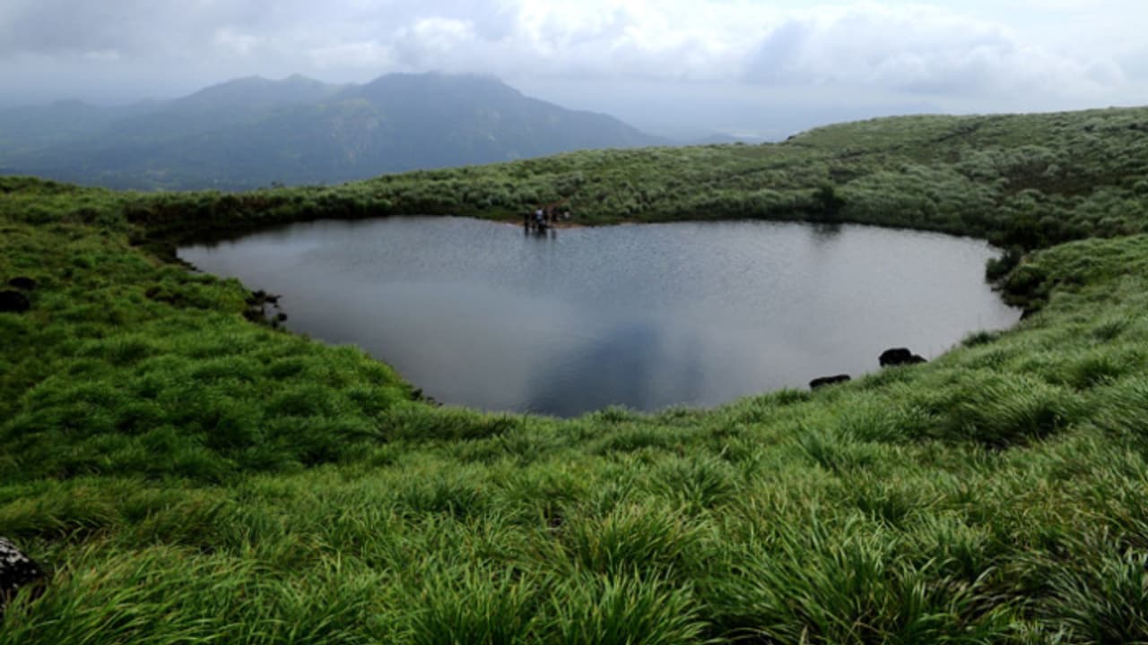 2,100 മീറ്റർ ഉയരമുള്ള കൊടുമുടി, അവിടെയൊരു ഹൃദയസരസ്; പോകാം വിസ്മയ കാഴ്ചകളുടെ ചെമ്പ്ര പീക്കിലേയ്ക്ക്