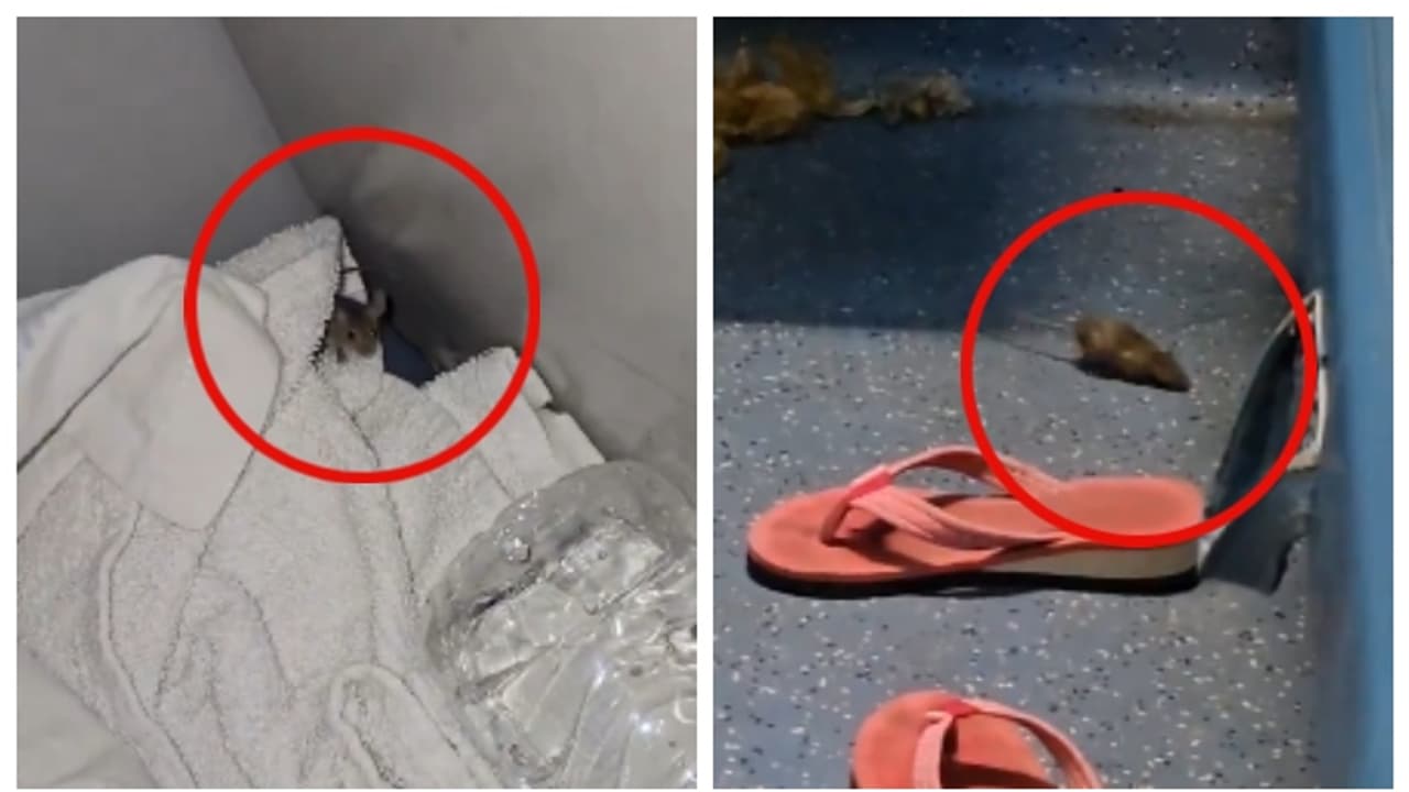 3,000 രൂപയുടെ ടിക്കറ്റെടുത്തത് എലിയോടൊപ്പം യാത്ര ചെയ്യാനോ?; എസി കോച്ചിൽ പരക്കം പാഞ്ഞ എലിയുടെ വീഡിയോ വൈറൽ 