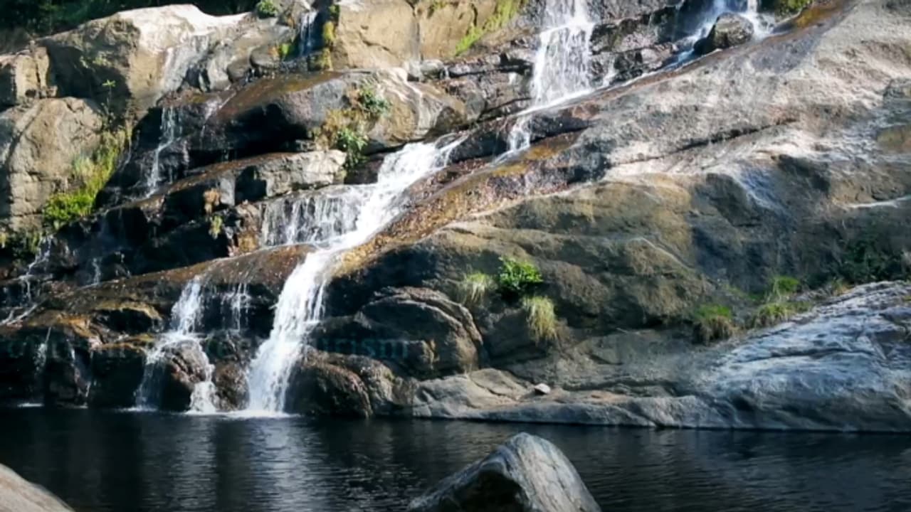 ഇടതൂർന്ന് നിൽക്കുന്ന കാടും ട്രക്കിംഗും പിന്നെ ഒരു വെള്ളച്ചാട്ടവും; ഇത് അനന്തപുരിയുടെ സ്വന്തം കല്ലാർ മീൻമുട്ടി 