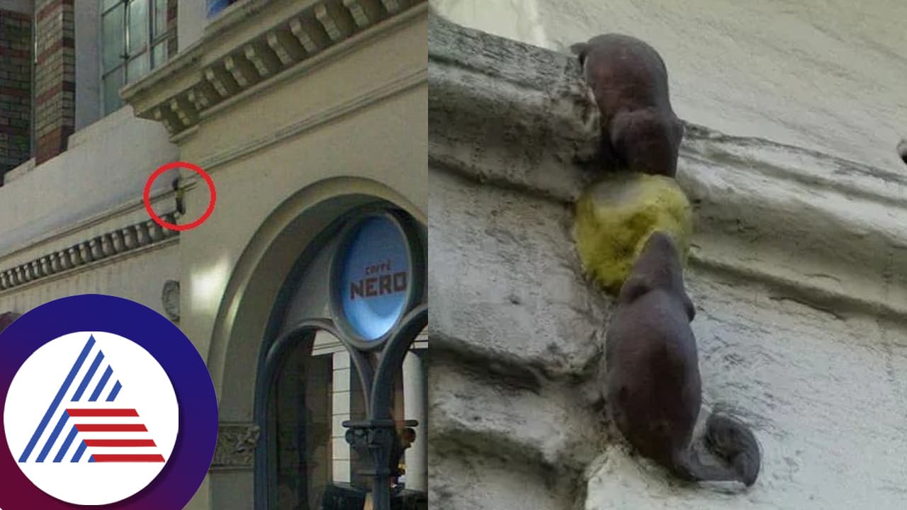 ಸ್ಯಾಂಡ್​ವಿಚ್​ ಕದ್ದು ಸಿಕ್ಕಿಬಿದ್ದ ಇಲಿಗಳ ನೆನಪಿಗೆ ಮೂರ್ತಿ ನಿರ್ಮಾಣ! ಈ ವಿಚಿತ್ರ ಸ್ಟೋರಿ ಕೇಳಿ...