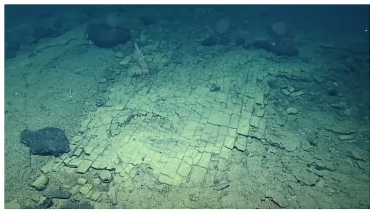 ഇതാണ് അറ്റ്ലാന്റിസിലേക്കുള്ള വഴി; കടലാഴങ്ങളില് മഞ്ഞ ഇഷ്ടികകൾ പാകിയത് പോലെ ഒരു റോഡ്, ഗവേഷകരുടെ വീഡിയോ വൈറൽ ഇതാണ് അറ്റ്ലാന്റിസിലേക്കുള്ള വഴി; കടലാഴങ്ങളില് മഞ്ഞ ഇഷ്ടികകൾ പാകിയത് പോലെ ഒരു റോഡ്, ഗവേഷകരുടെ വീഡിയോ വൈറൽ