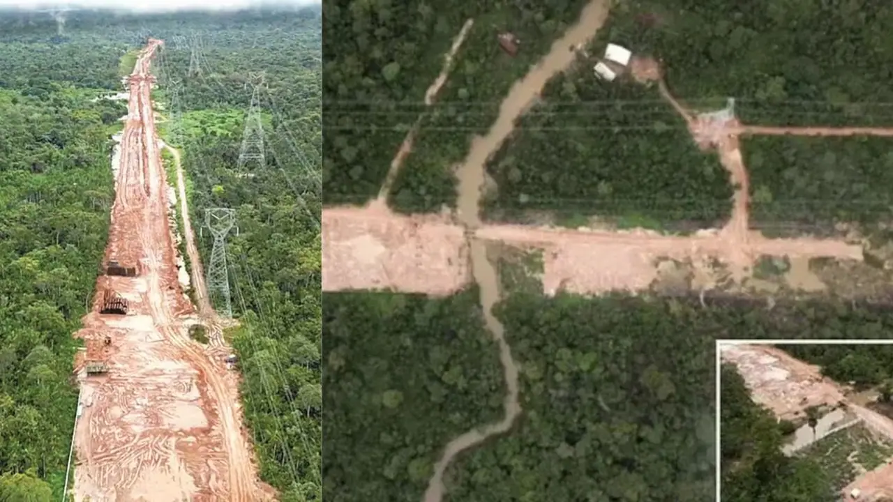 ಅಮೇಜಾನ್ ಕಾಡು ಕಡಿದು ಜಾಗತಿಕ ಪರಿಸರ ಸಮ್ಮೇಳನ! ಅಮೇಜಾನ್ ಕಾಡು ಕಡಿದು ಜಾಗತಿಕ ಪರಿಸರ ಸಮ್ಮೇಳನ!