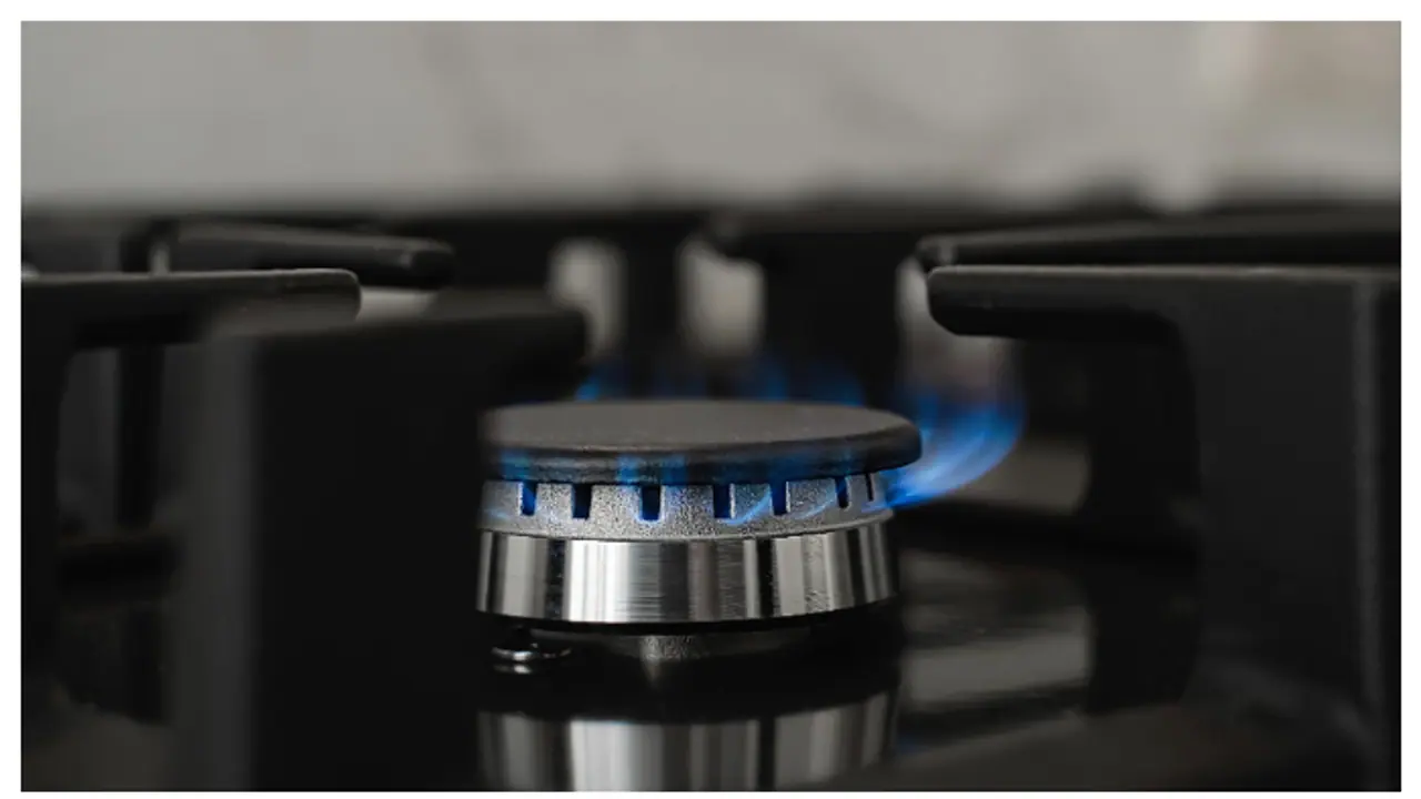 ഗ്യാസ് പാഴാക്കരുതേ; പാചകം ചെയ്യുമ്പോൾ ശ്രദ്ധിക്കാം 