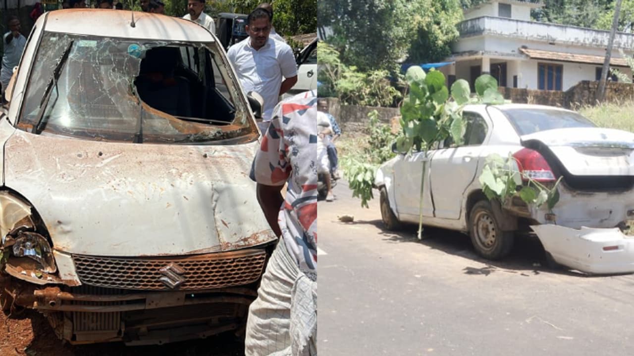 മകളുടെ വീട്ടിലേക്ക് വിരുന്നു പോകുമ്പോൾ കാർ അപകടം: അമ്മയ്ക്ക് ദാരുണാന്ത്യം, മകന് പരുക്ക്