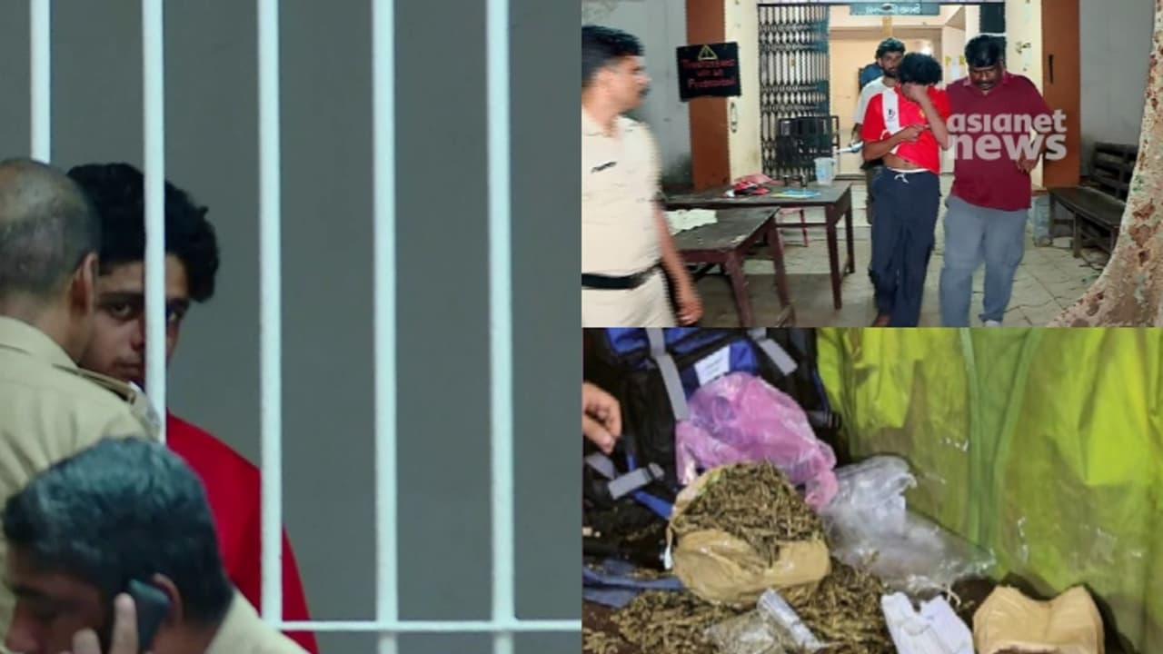 കളമശേരി പോളിടെക്നിക്ക് ലഹരിക്കേസ്; പണമിടപാട് നടത്തിയത് മൂന്നാം വർഷ വിദ്യാർഥി, കൊല്ലം സ്വദേശിക്കായി തെരച്ചിൽ കളമശേരി പോളിടെക്നിക്ക് ലഹരിക്കേസ്; പണമിടപാട് നടത്തിയത് മൂന്നാം വർഷ വിദ്യാർഥി, കൊല്ലം സ്വദേശിക്കായി തെരച്ചിൽ