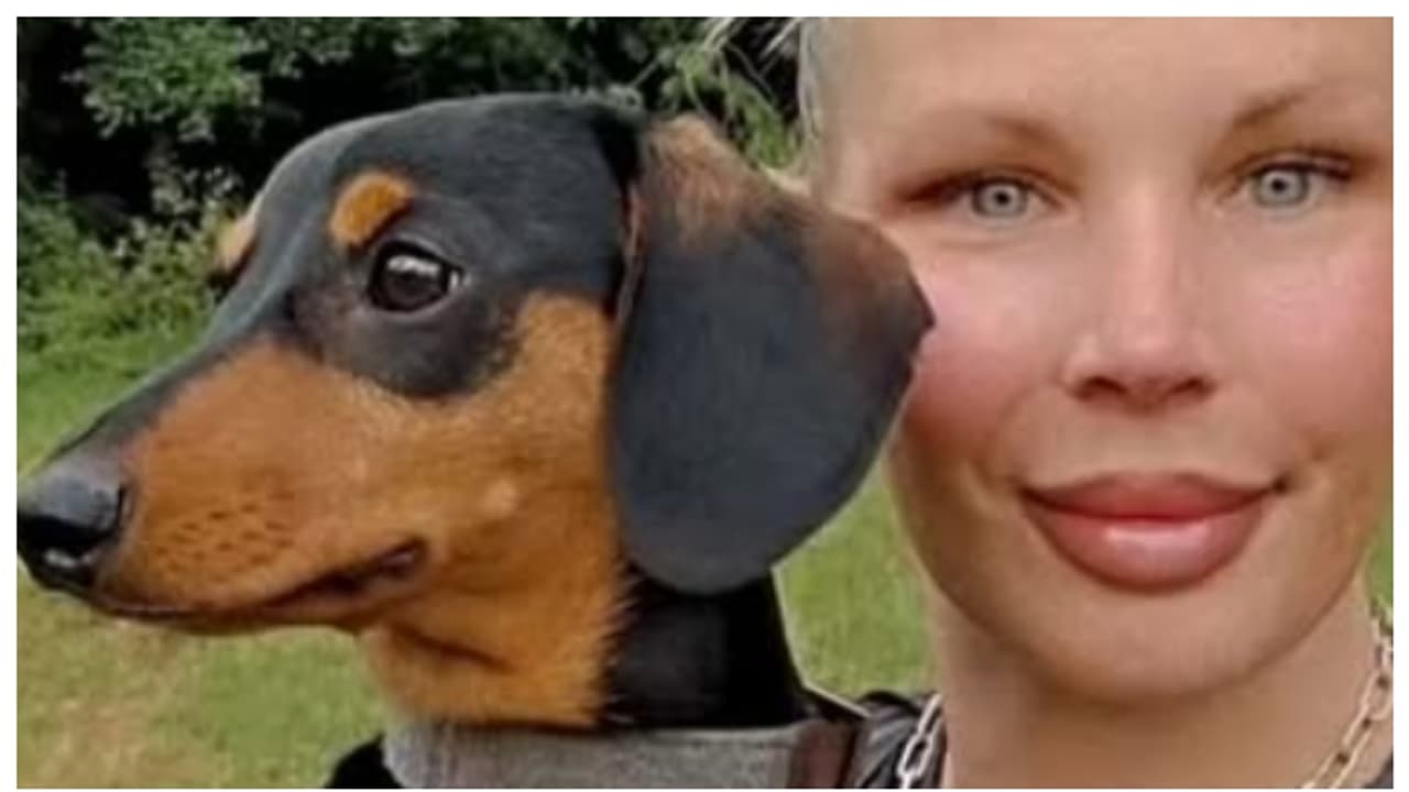 വീട്ടിനുള്ളില് വളർത്തുനായ്ക്കൾ ഭക്ഷിച്ച നിലയില് യുവതിയുടെ മൃതദേഹം; കണ്ടെത്തിയത് മരിച്ച് ഒരു മാസത്തിന് ശേഷം വീട്ടിനുള്ളില് വളർത്തുനായ്ക്കൾ ഭക്ഷിച്ച നിലയില് യുവതിയുടെ മൃതദേഹം; കണ്ടെത്തിയത് മരിച്ച് ഒരു മാസത്തിന് ശേഷം