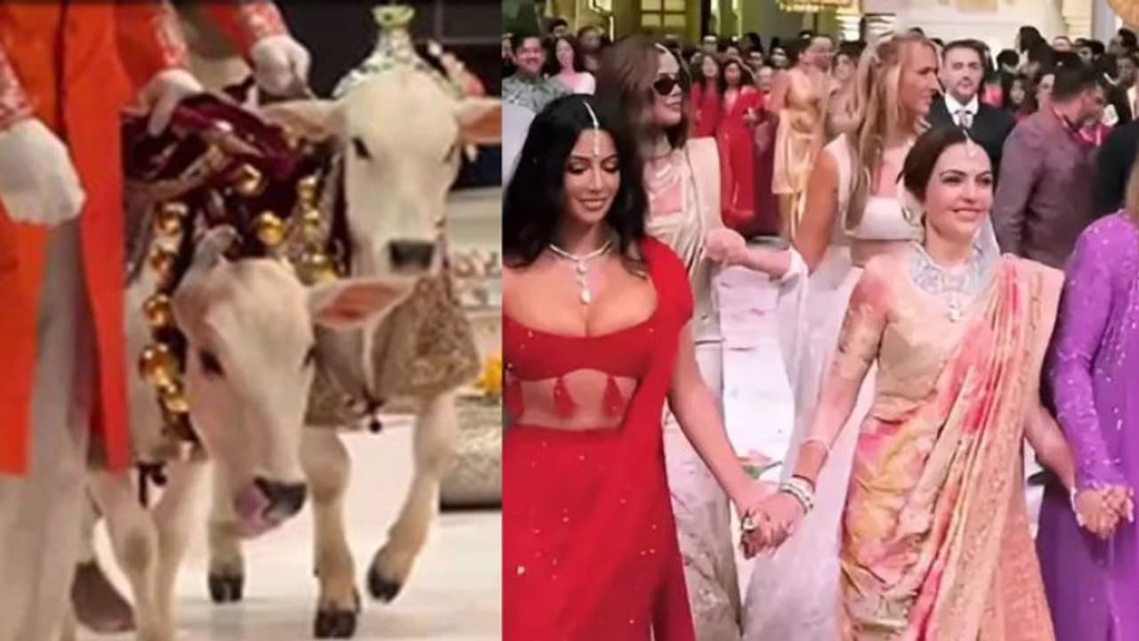 ಅನಂತ್ ಮದುವೆಯಲ್ಲಿ ಹಸುಗಳ ಕಾಲಿಗೂ ವಜ್ರದ ಪಟ್ಟಿ, ಶ್ರೀಮಂತಿಕೆ ವರ್ಣಿಸಿದ ಕರ್ದಾಶಿಯನ್ ಸಹೋದರಿಯರು 