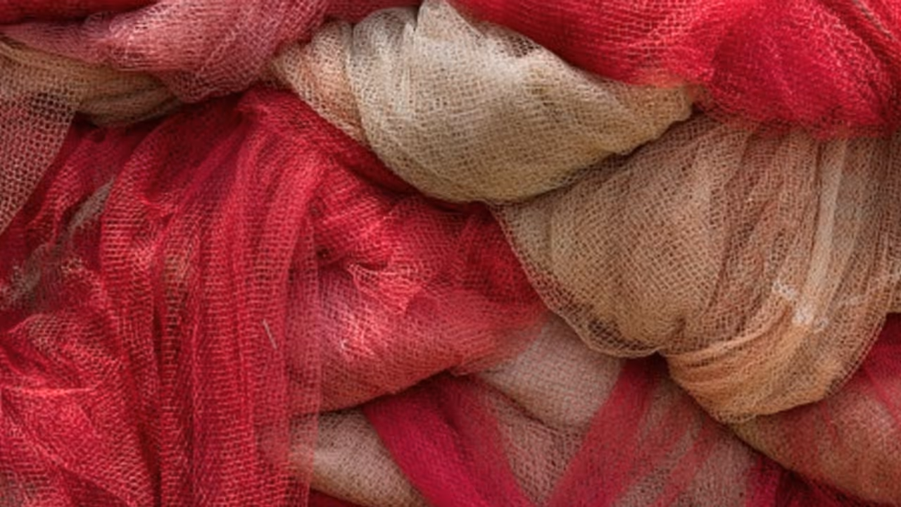 കൂടുതൽ മീൻ കിട്ടുന്നതിൽ അസൂയ, വെള്ളായണിയിൽ മറ്റൊരാളുടെ വല കത്തിച്ച കത്തിച്ച 45കാരൻ അറസ്റ്റിൽ കൂടുതൽ മീൻ കിട്ടുന്നതിൽ അസൂയ, വെള്ളായണിയിൽ മറ്റൊരാളുടെ വല കത്തിച്ച കത്തിച്ച 45കാരൻ അറസ്റ്റിൽ