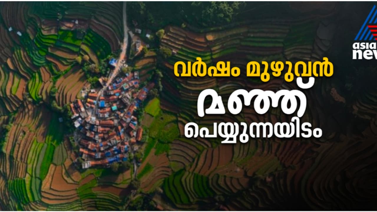 വിനായകൻ പറഞ്ഞത് പോലെ ഇത് സ്വിറ്റ്സർലൻഡോ സ്കോട്ലൻഡോ ആംസ്റ്റർഡാമോ ഒന്നുമല്ല; മല്ലൂസിന്റെ ഇഷ്ടയിടം വിനായകൻ പറഞ്ഞത് പോലെ ഇത് സ്വിറ്റ്സർലൻഡോ സ്കോട്ലൻഡോ ആംസ്റ്റർഡാമോ ഒന്നുമല്ല; മല്ലൂസിന്റെ ഇഷ്ടയിടം