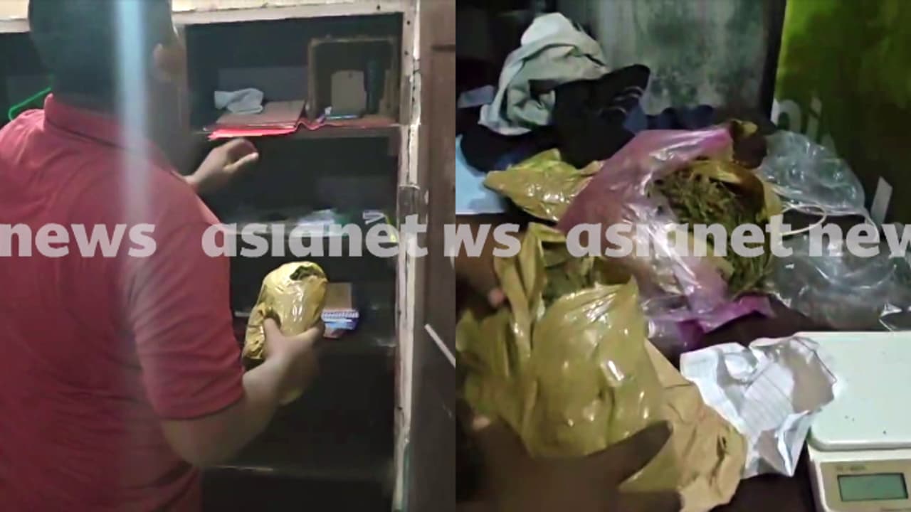 കളമശേരി പോളിടെക്നിക്ക് ഹോസ്റ്റലിൽ പ്രത്യേക 'ഗ്യാങ്'; വലിക്കുന്നത് കഞ്ചാവ് ബീഡി, നടക്കുന്നത് കൂട്ടുകച്ചവടം