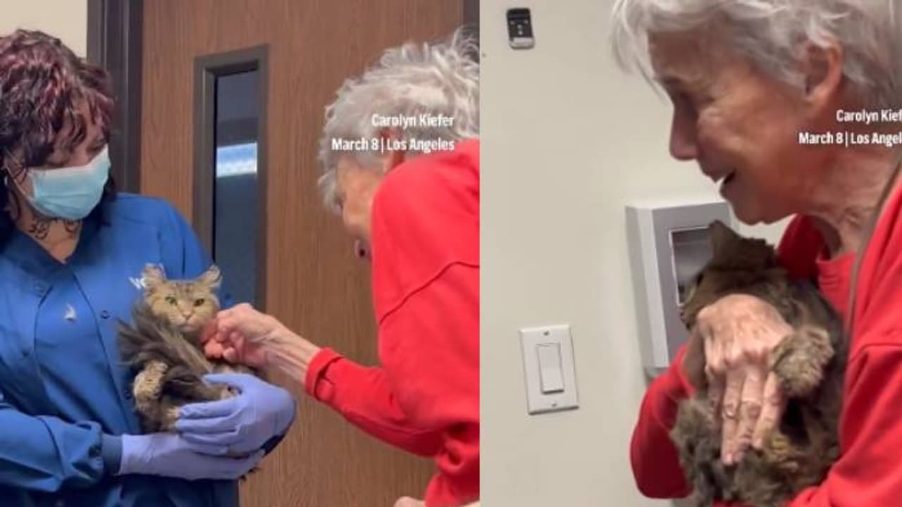 ഒടുവിൽ ആ​ഗി തിരികെയെത്തി, കണ്ണ് നിറഞ്ഞ്, വിതുമ്പലടക്കാനാവാതെ കാതറിൻ, വൈകാരികമായ വീഡിയോ വൈറൽ