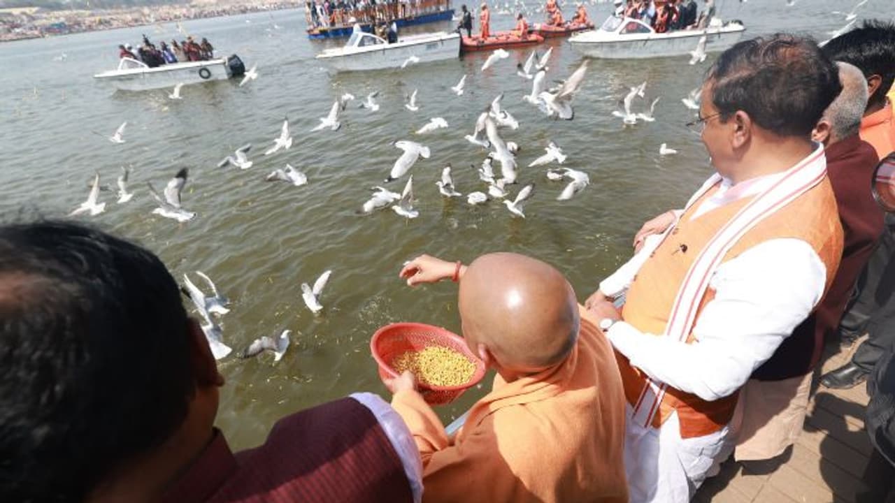 Ornithologists confirm pollution free waters after Mahakumbh: A positive sign for wildlife Ornithologists confirm pollution free waters after Mahakumbh: A positive sign for wildlife