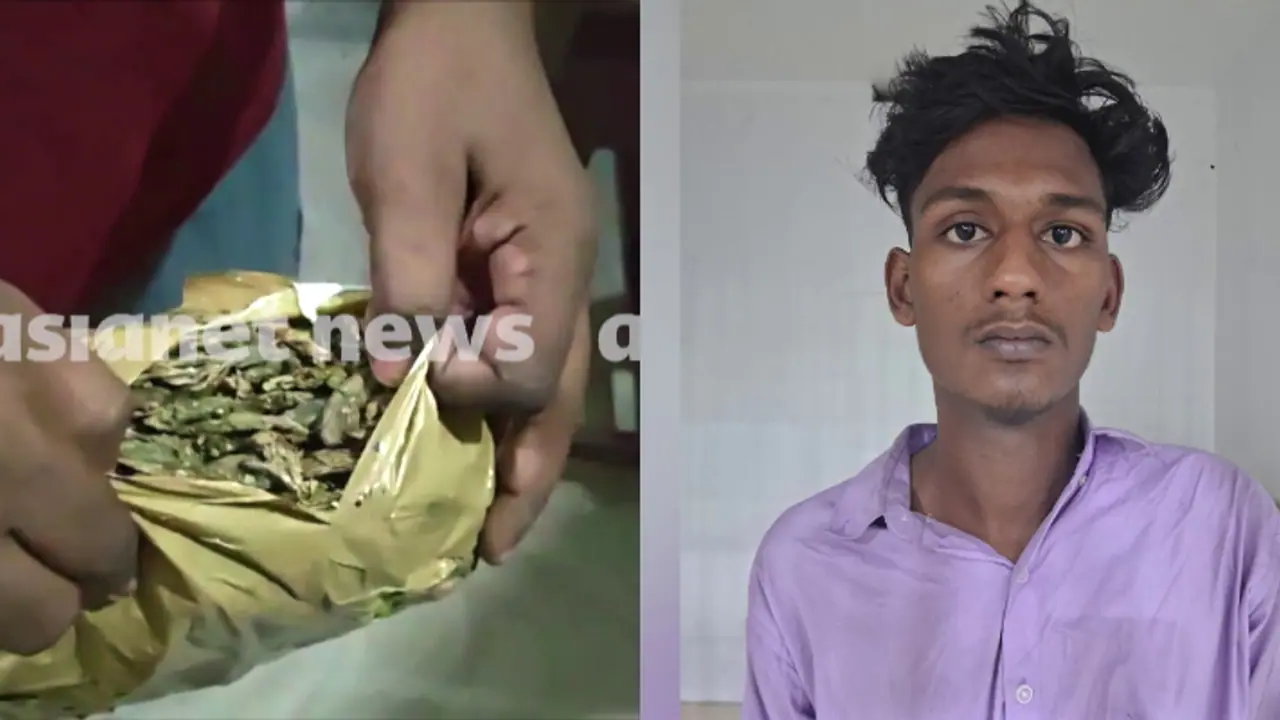 കളമശേരി പോളിടെക്നിക്കിലെ ലഹരി വേട്ട; ഹോസ്റ്റലിലേക്ക് കഞ്ചാവ് എത്തിച്ച മൂന്നാം വര്‍ഷ വിദ്യാര്‍ത്ഥി പിടിയിൽ