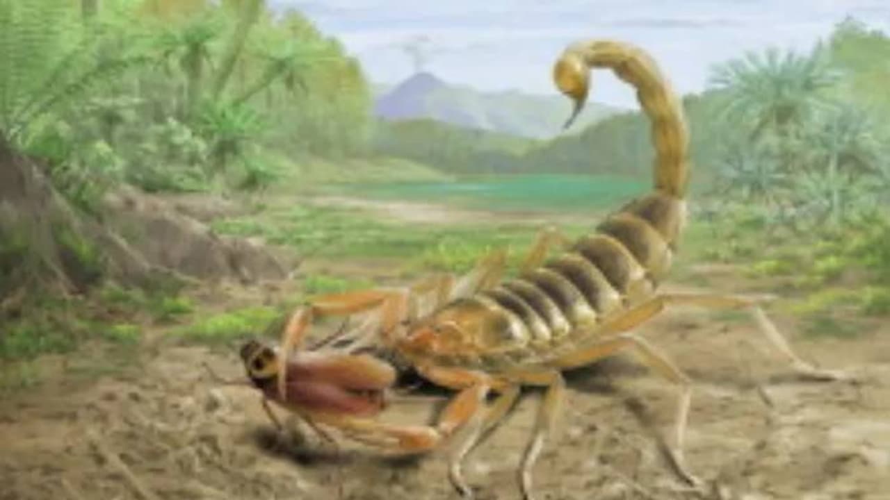 125 മില്ല്യൺ വർഷം പഴക്കം, വിഷത്തേളിന്റെ ഫോസിൽ കണ്ടെത്തി, വഴിത്തിരിവെന്ന് ​ഗവേഷകർ