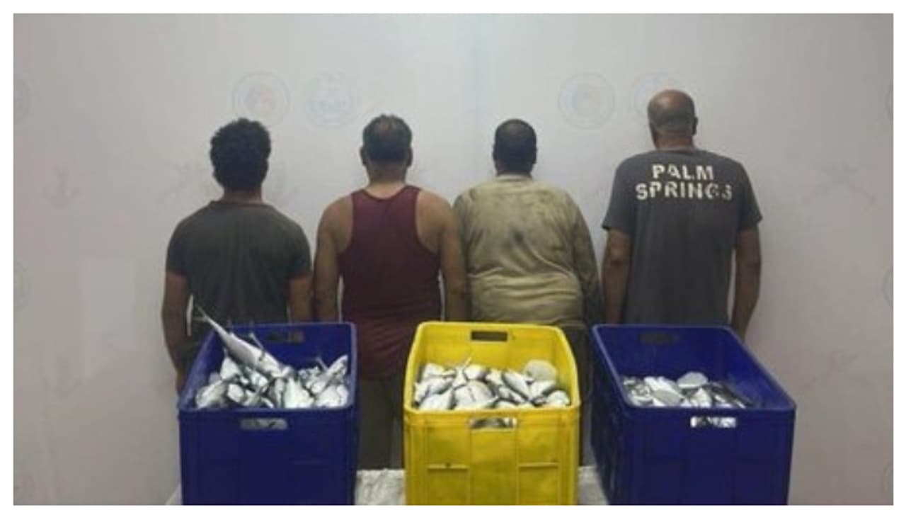 നിരോധിത മേഖലയിൽ മത്സ്യബന്ധനം; നാല് പ്രവാസികൾ അറസ്റ്റിൽ നിരോധിത മേഖലയിൽ മത്സ്യബന്ധനം; നാല് പ്രവാസികൾ അറസ്റ്റിൽ