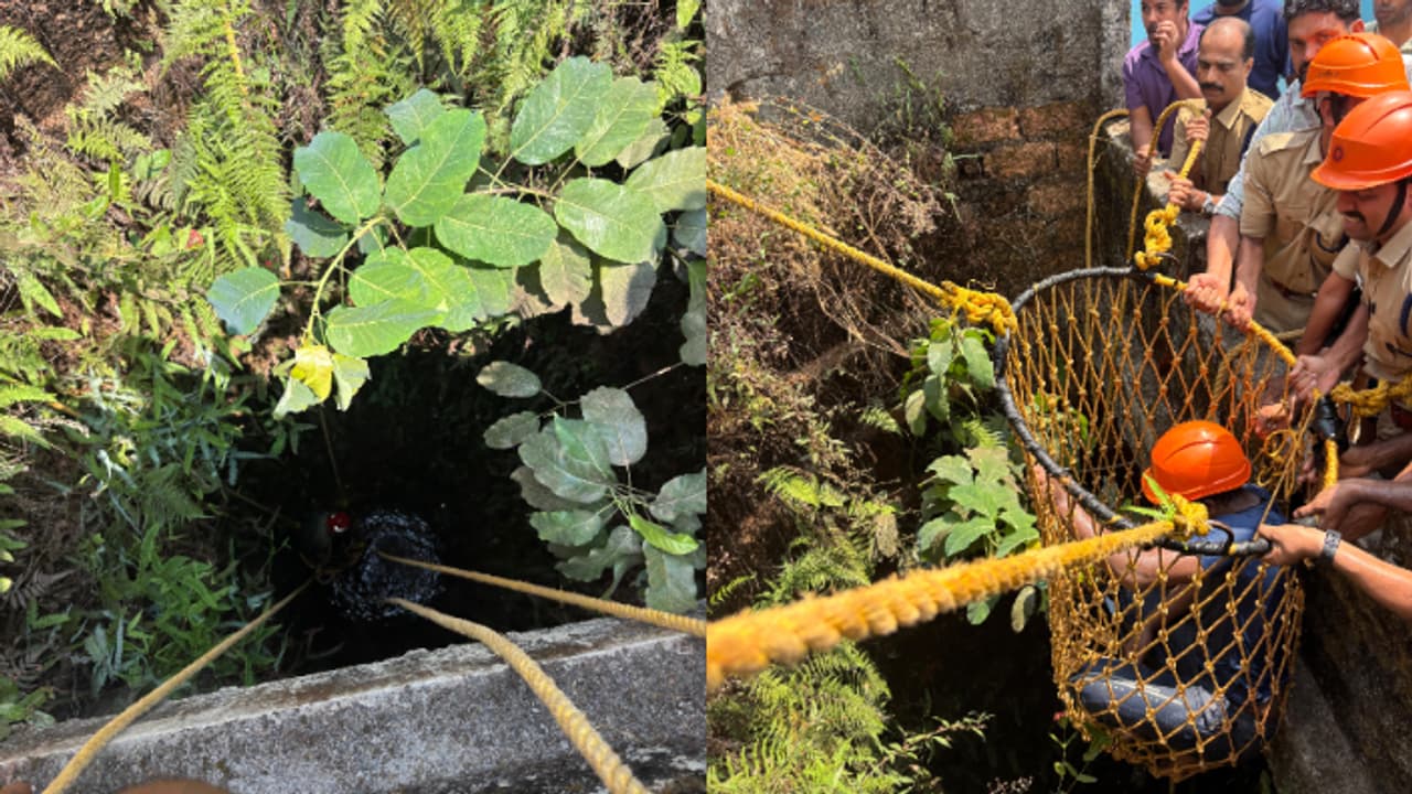 കുട്ടികളുടെ പന്ത് കിണറ്റിൽ വീണു, എടുക്കാനിറങ്ങിയ 40കാരൻ നിലയില്ലാക്കയത്തിൽ; രക്ഷയായെത്തിയത് അഗ്നി രക്ഷാസേന കുട്ടികളുടെ പന്ത് കിണറ്റിൽ വീണു, എടുക്കാനിറങ്ങിയ 40കാരൻ നിലയില്ലാക്കയത്തിൽ; രക്ഷയായെത്തിയത് അഗ്നി രക്ഷാസേന