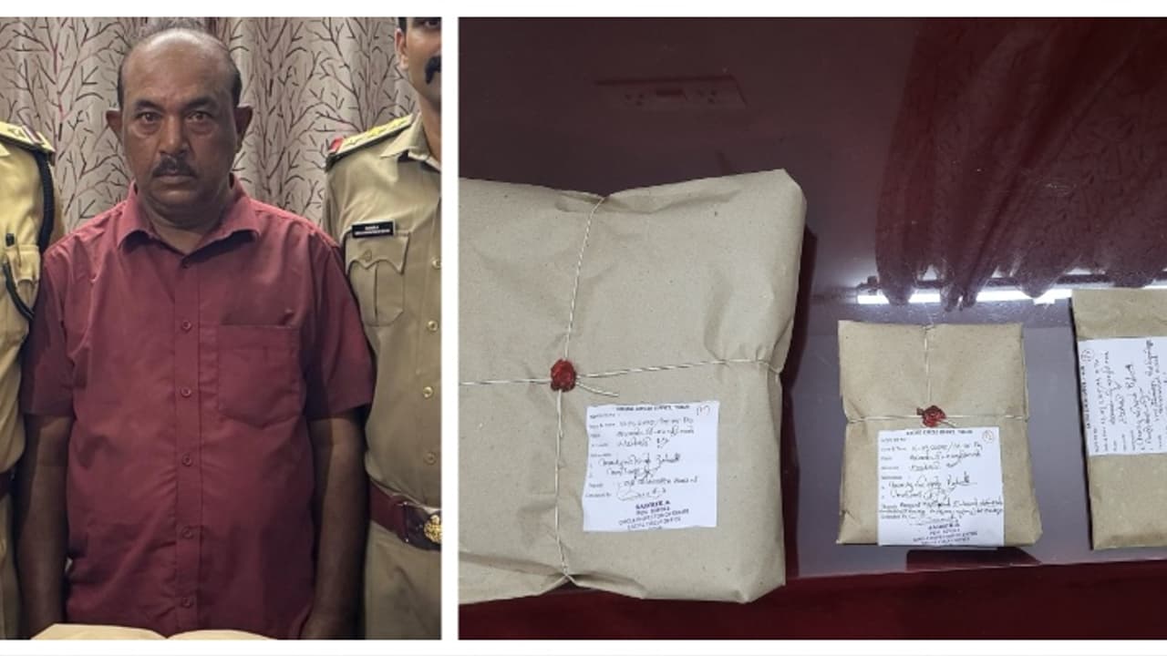 രാവിലെ 8 പൊതി കഞ്ചാവുമായി പിടിയിലായി, ജാമ്യത്തിലിറങ്ങി; അതേയാൾ വൈകിട്ട് വീണ്ടും കഞ്ചാവുമായി പിടിയിൽ