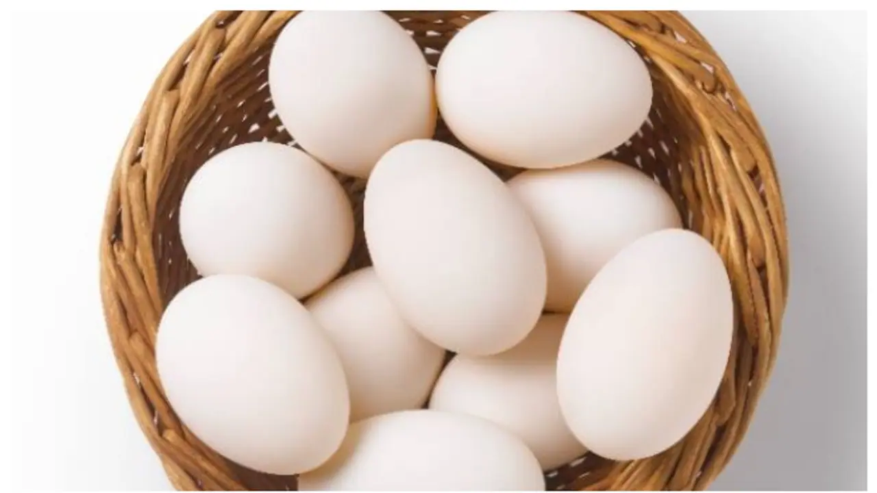 മുട്ട വേണമെന്ന് യുഎസ്, തരില്ലെന്ന് ഫിൻലൻഡ്; ഭീഷണിയിൽ നിന്നും ട്രംപ് നയതന്ത്രം യാചനയിലെത്തിയെന്ന് സോഷ്യൽ മീഡിയ