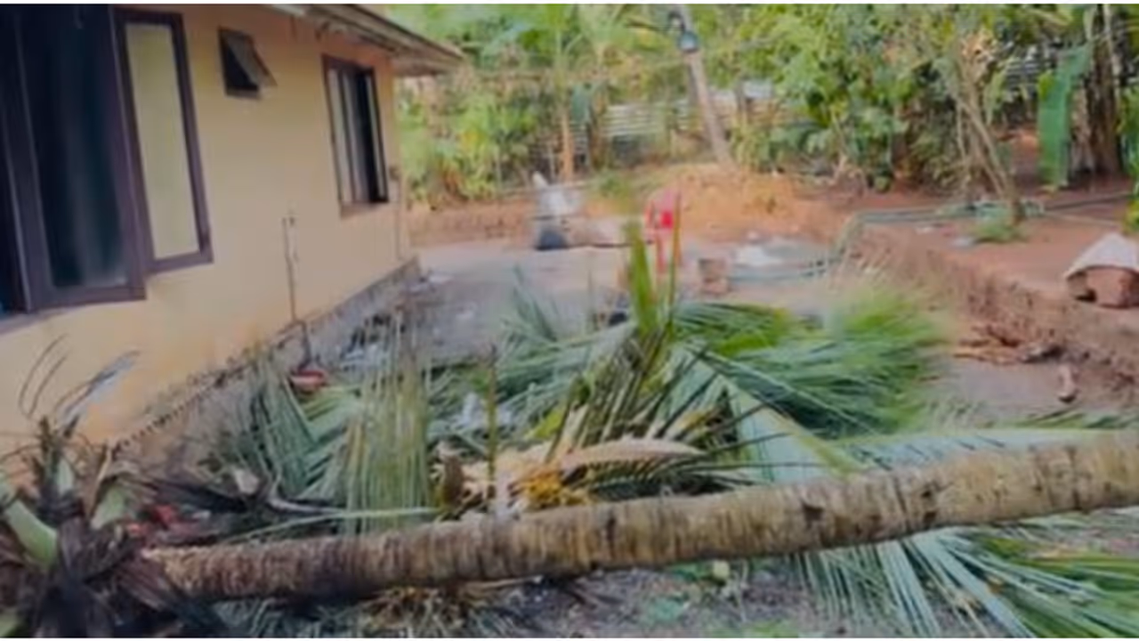 ഇഫ്താ൪ സംഗമത്തിനിടെ തെങ്ങ് കടപുഴകി വീണ് അപകടം; വീടിൻ്റെ ഒരു വശം തകർന്നു, അപകടത്തിൽ ആർക്കും പരിക്കില്ല