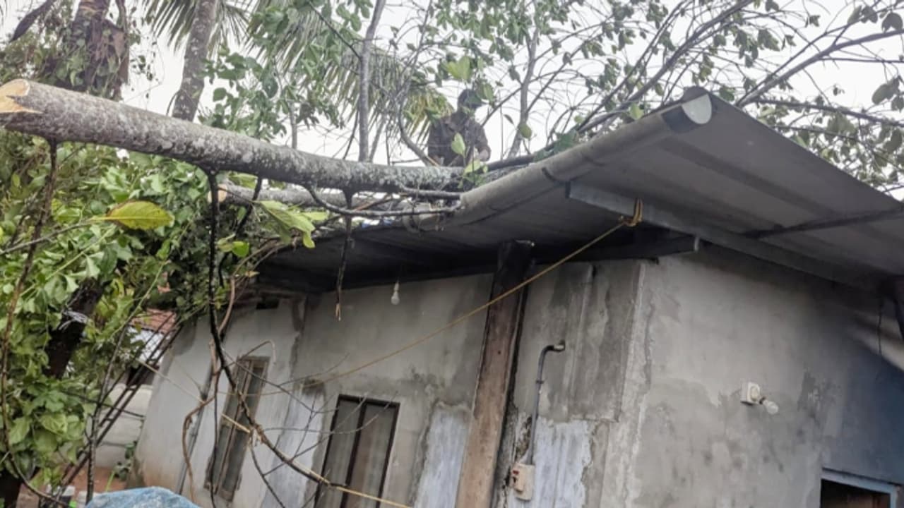 കനത്ത മഴയും കാറ്റും, ചാലക്കുടിയിലെ കൊരട്ടിയിൽ വ്യാപക നാശം; മരങ്ങൾ കടപുഴകി, വൈദ്യുത കമ്പികള്‍ പൊട്ടിവീണു
