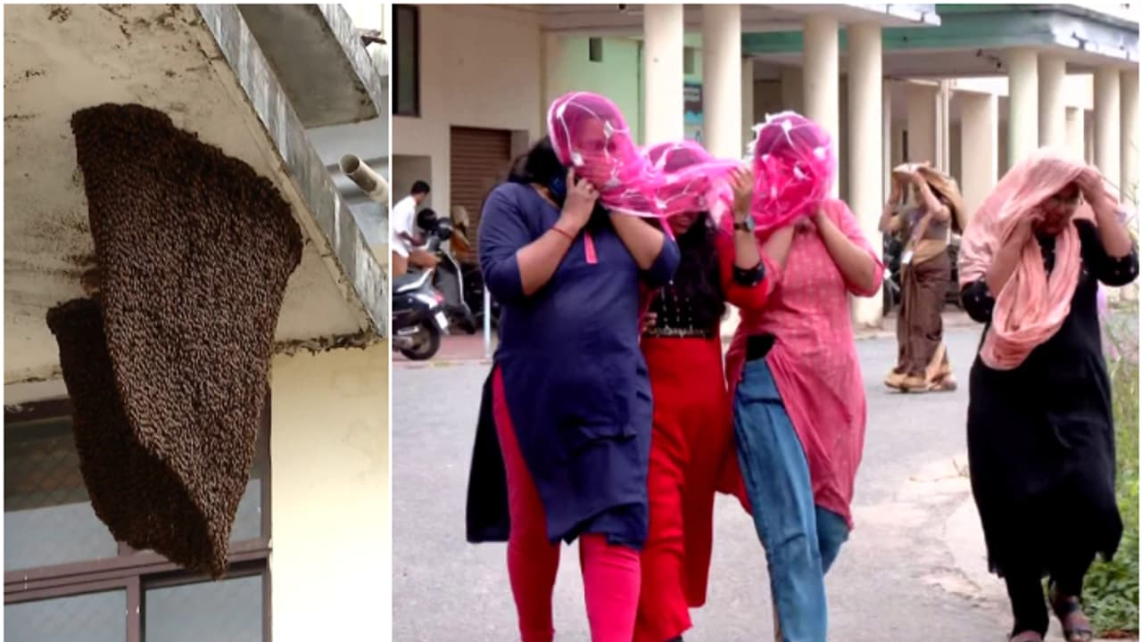 ബോംബ് ഭീഷണി പരിശോധിക്കാനെത്തിയ ഉദ്യോഗസ്ഥരെ ആക്രമിച്ച് തേനീച്ചക്കൂട്ടം, സംഭവം തിരുവനന്തപുരത്ത് ബോംബ് ഭീഷണി പരിശോധിക്കാനെത്തിയ ഉദ്യോഗസ്ഥരെ ആക്രമിച്ച് തേനീച്ചക്കൂട്ടം, സംഭവം തിരുവനന്തപുരത്ത്