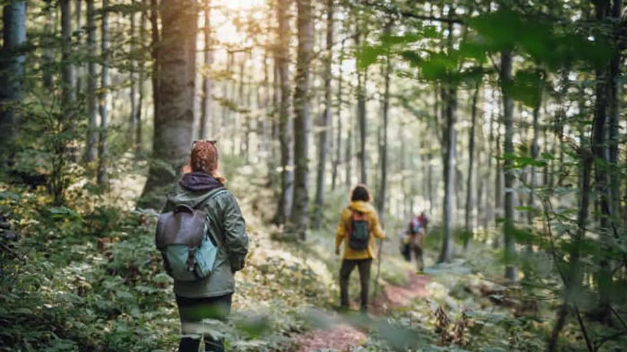 Travel destinations: Kanha to Sundarbans; 5 India's safest and most picturesque forest getaways Travel destinations: Kanha to Sundarbans; 5 India's safest and most picturesque forest getaways