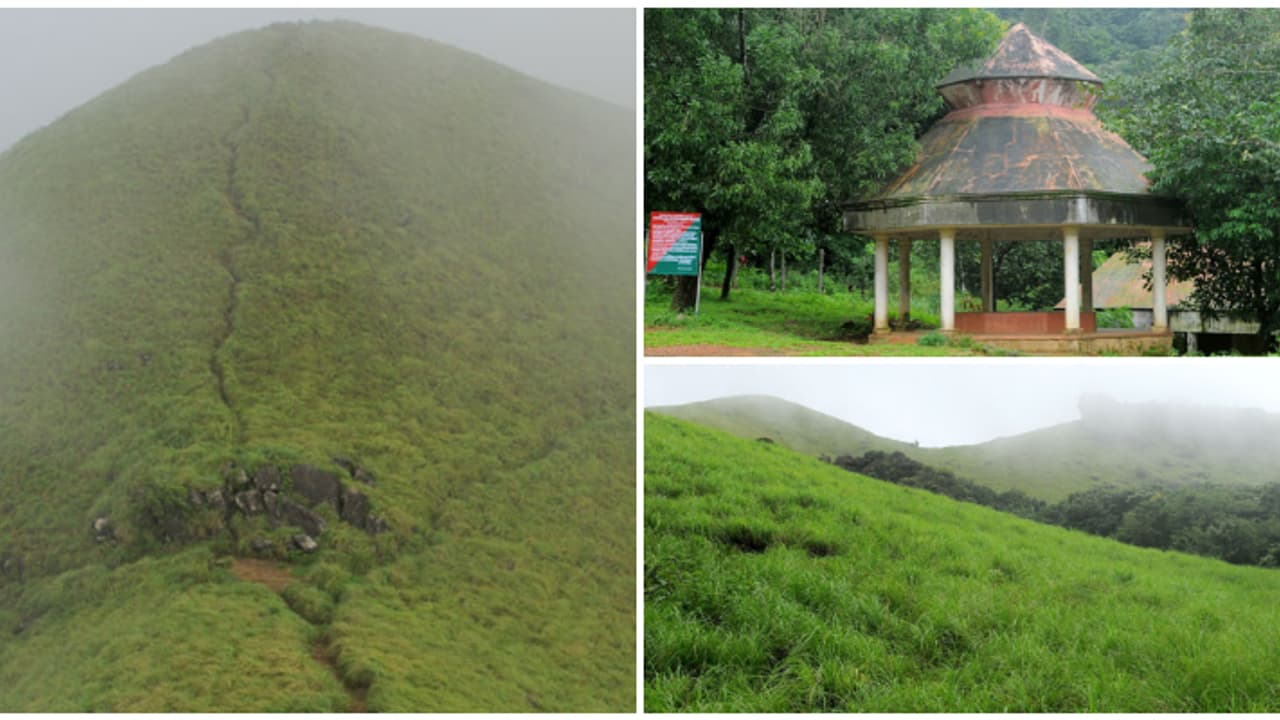 കാട്ടുവഴിയുടെ മണമറിഞ്ഞ് കോട പുതച്ചൊരു ട്രെക്കിംഗ്; വന്യജീവികളുടെ വിഹാരകേന്ദ്രമായ റാണിപുരത്തേക്ക് കാട്ടുവഴിയുടെ മണമറിഞ്ഞ് കോട പുതച്ചൊരു ട്രെക്കിംഗ്; വന്യജീവികളുടെ വിഹാരകേന്ദ്രമായ റാണിപുരത്തേക്ക്