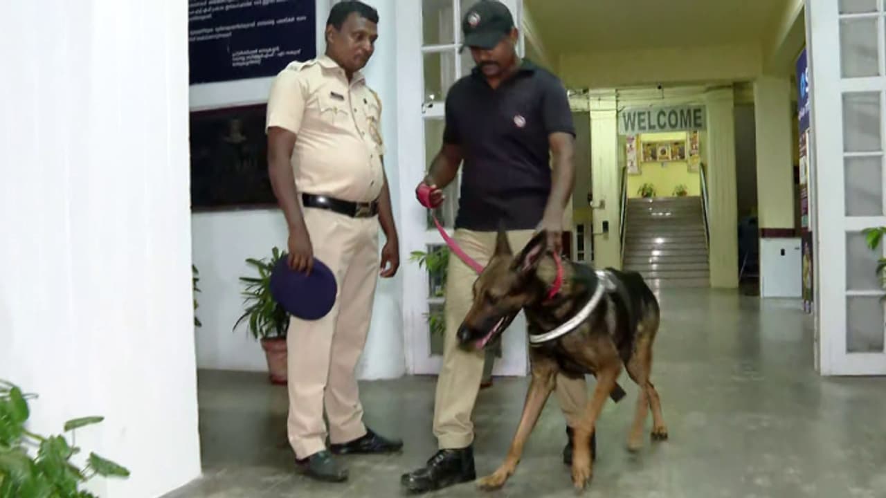 കൊല്ലം കളക്ട്രേറ്റിലും ബോംബ് ഭീഷണി; ബോംബ് ഡോഗ് സ്ക്വാഡുകൾ പരിശോധന നടത്തി; അസ്വാഭാവികമായി ഒന്നും കണ്ടെത്തിയില്ല കൊല്ലം കളക്ട്രേറ്റിലും ബോംബ് ഭീഷണി; ബോംബ് ഡോഗ് സ്ക്വാഡുകൾ പരിശോധന നടത്തി; അസ്വാഭാവികമായി ഒന്നും കണ്ടെത്തിയില്ല