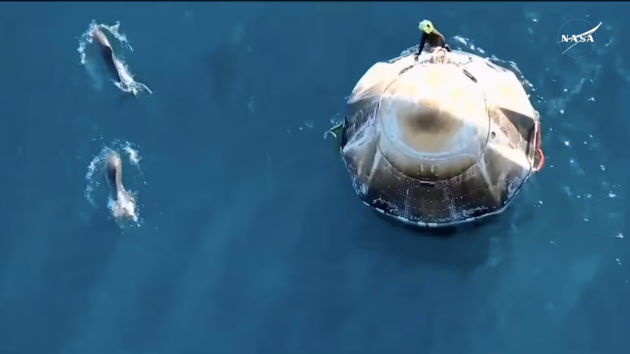 ಸುನಿತಾ ವಿಲಿಯಮ್ಸ್‌ಗೆ ಡಾಲ್ಫಿನ್‌ಗಳು ಹೇಗೆ ಸ್ವಾಗತಿಸಿದವು ನೋಡಿದ್ರಾ? ಸೂಪರ್ ವಿಡಿಯೋ ಇಲ್ಲಿವೆ