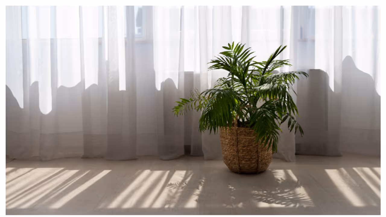 കിടപ്പുമുറിയിൽ പ്രകാശം കുറവാണോ? പ്രകൃതിദത്ത വെളിച്ചം ലഭിക്കാൻ സിംപിളായി ഇന്റീരിയർ നൽകാം 