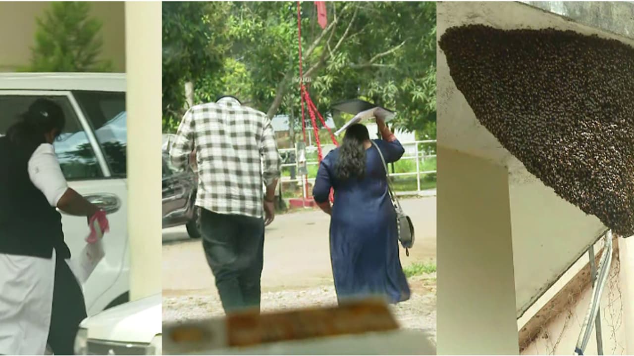 തേനീച്ചകള്ക്കെതിരെ യുദ്ധപ്രഖ്യാപനം! ഇന്നും തിരുവനന്തപുരം കളക്ടറേറ്റിലെത്തിയവർക്ക് കുത്തേറ്റു, കൂടുകൾ നീക്കും തേനീച്ചകള്ക്കെതിരെ യുദ്ധപ്രഖ്യാപനം! ഇന്നും തിരുവനന്തപുരം കളക്ടറേറ്റിലെത്തിയവർക്ക് കുത്തേറ്റു, കൂടുകൾ നീക്കും