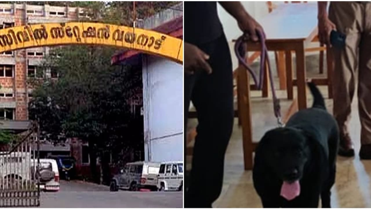 വയനാട് കളക്ട്രേറ്റിൽ ബോംബ് ഭീഷണി; പൊലീസും ബോംബ് സ്ക്വാഡും പരിശോധന നടത്തി, അസ്വാഭാവികമായി ഒന്നും കണ്ടെത്തിയില്ല വയനാട് കളക്ട്രേറ്റിൽ ബോംബ് ഭീഷണി; പൊലീസും ബോംബ് സ്ക്വാഡും പരിശോധന നടത്തി, അസ്വാഭാവികമായി ഒന്നും കണ്ടെത്തിയില്ല