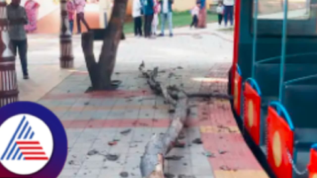 ಮೈಸೂರು: ರೈಲ್ವೆ ಮ್ಯೂಸಿಯಂನಲ್ಲಿ ದುರ್ಘಟನೆ ತಪ್ಪಿದ ಭಾರಿ ಅನಾಹುತ!