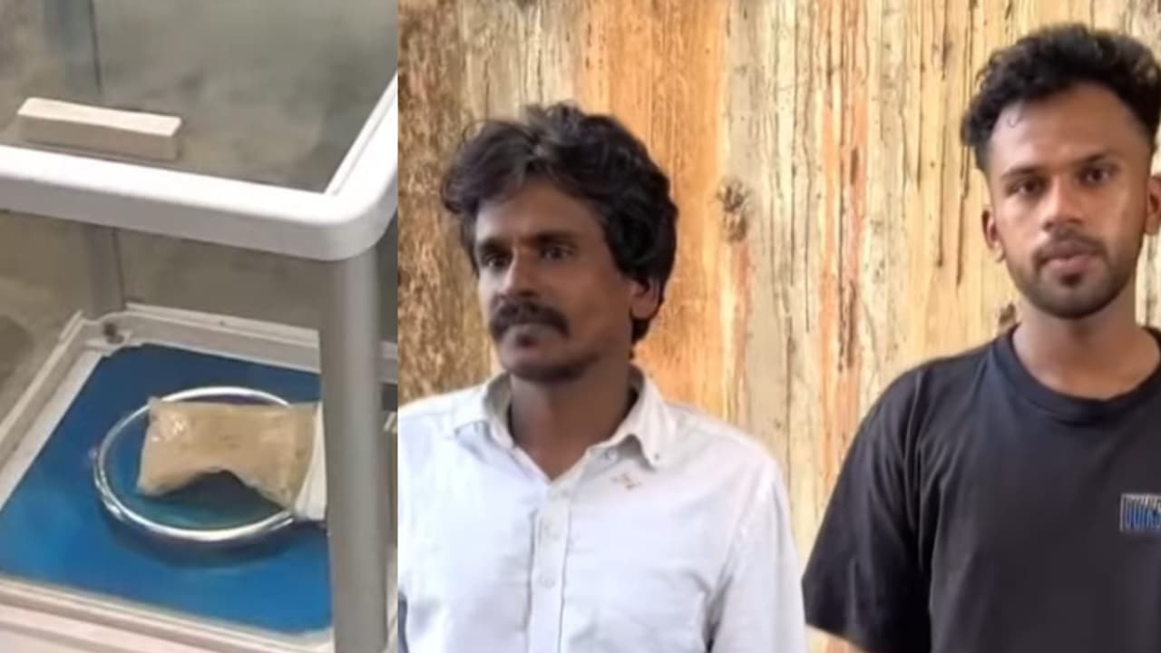 തമിഴ്നാട് വഴി കേരളത്തിലേക്ക്, എംഡിഎംഎയുമായി ബൈക്കിൽ മിന്നിച്ചെത്തിയത് നിയമവിദ്യാർത്ഥി, അറസ്റ്റ് തമിഴ്നാട് വഴി കേരളത്തിലേക്ക്, എംഡിഎംഎയുമായി ബൈക്കിൽ മിന്നിച്ചെത്തിയത് നിയമവിദ്യാർത്ഥി, അറസ്റ്റ്