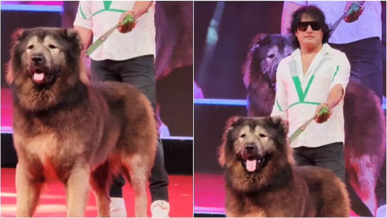 ಜಗತ್ತಿನ ಅತ್ಯಂತ ದುಬಾರಿ ನಾಯಿ ಖರೀದಿಸಿದ ಬೆಂಗಳೂರಿಗನ ಬಂಡವಾಳ ಬಯಲು ಮಾಡಿದ ಇಡಿ!