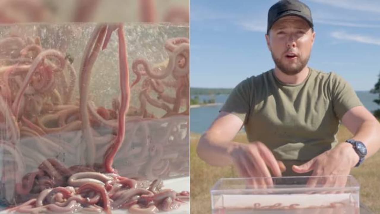 കാണുമ്പോൾ അറപ്പും ഞെട്ടലും തോന്നുന്നു, പാത്രം നിറയെ വിഷമുള്ള ബ്ലഡ്‍വേമുകൾ, കയ്യിട്ട് യുവാവ്