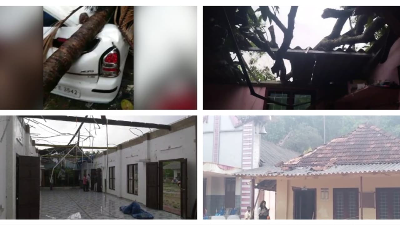 വേനൽമഴ ശക്തമാകുന്നു, ഒപ്പം കാറ്റും; സ്കൂളിലെ 400ഓളം ഓടുകള്‍ പറന്നുപോയി, കാറിന് മുകളിലേക്ക് തെങ്ങ് വീണ് അപകടം