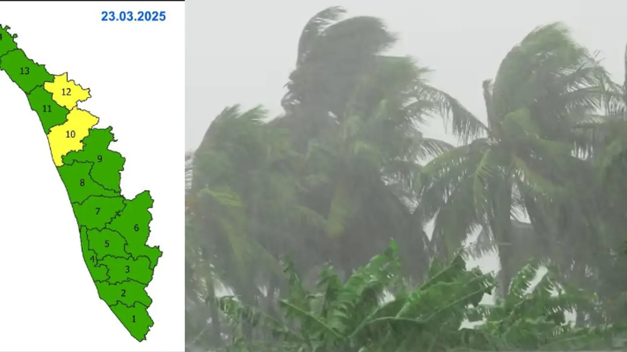 Summer rain to continue in Kerala; IMD sounds yellow alert in Malappuram, Wayanad