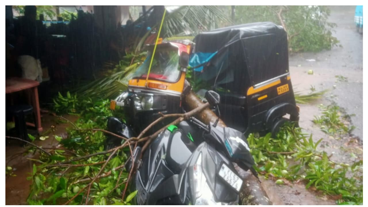 പെരുമഴക്കൊപ്പം വീശിയടിച്ച കാറ്റ്; കോഴിക്കോട് മലയോരത്ത് വ്യാപക നാശനഷ്ടം 
