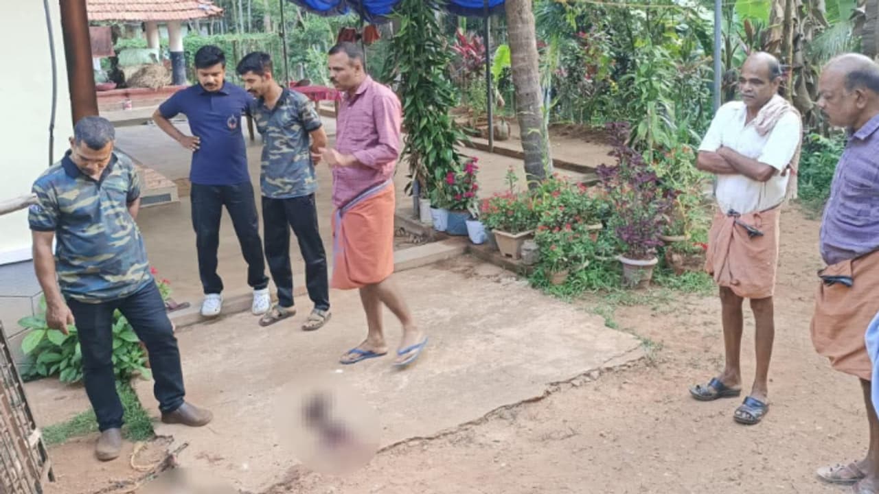 രാത്രിയിൽ കരച്ചിൽ പോലും കേട്ടില്ല, രാവിലെയെഴുന്നേറ്റപ്പോൾ ചങ്ങലയിൽ കെട്ടിയ നായയുടെ തല മാത്രം; പുലി ആക്രമണം രാത്രിയിൽ കരച്ചിൽ പോലും കേട്ടില്ല, രാവിലെയെഴുന്നേറ്റപ്പോൾ ചങ്ങലയിൽ കെട്ടിയ നായയുടെ തല മാത്രം; പുലി ആക്രമണം